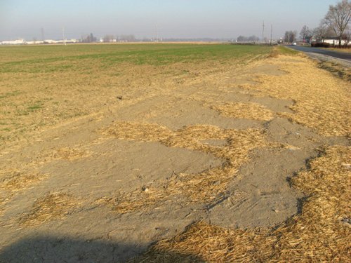 Property photo 21 - 60 Acres Offered in 2 Tracts